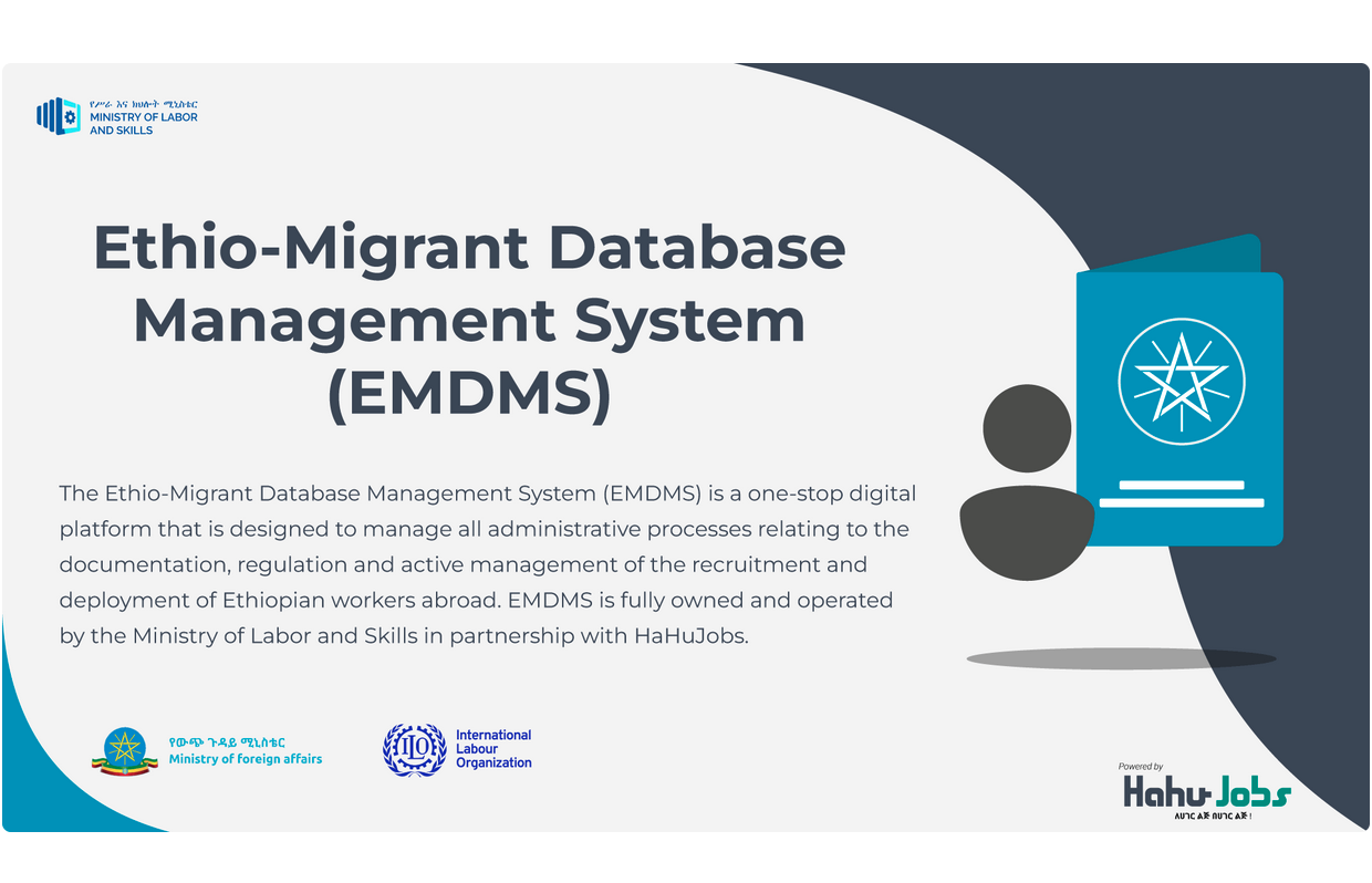 Ethio-Migrant Database - Minab IT Solutions project showcasing Vue.js, PostgreSQL, Node.js technologies